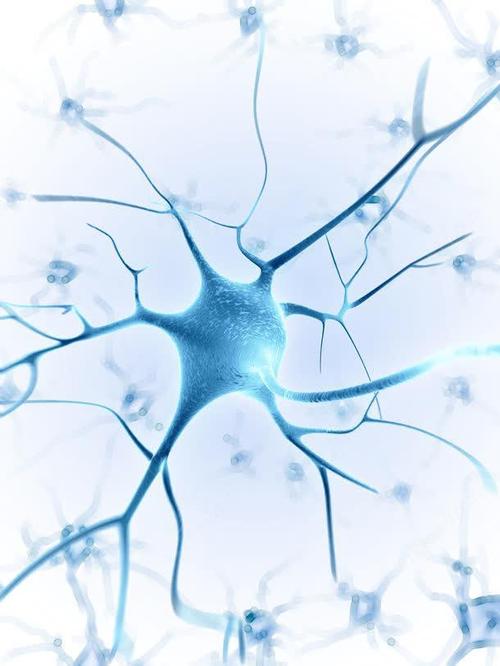 神经器官背景高清素材其它类别医学背景医疗科学图片素材生物科技神经
